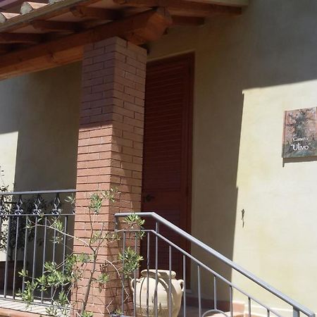 Le Camere Di Nonna Mara Montescudaio Kültér fotó