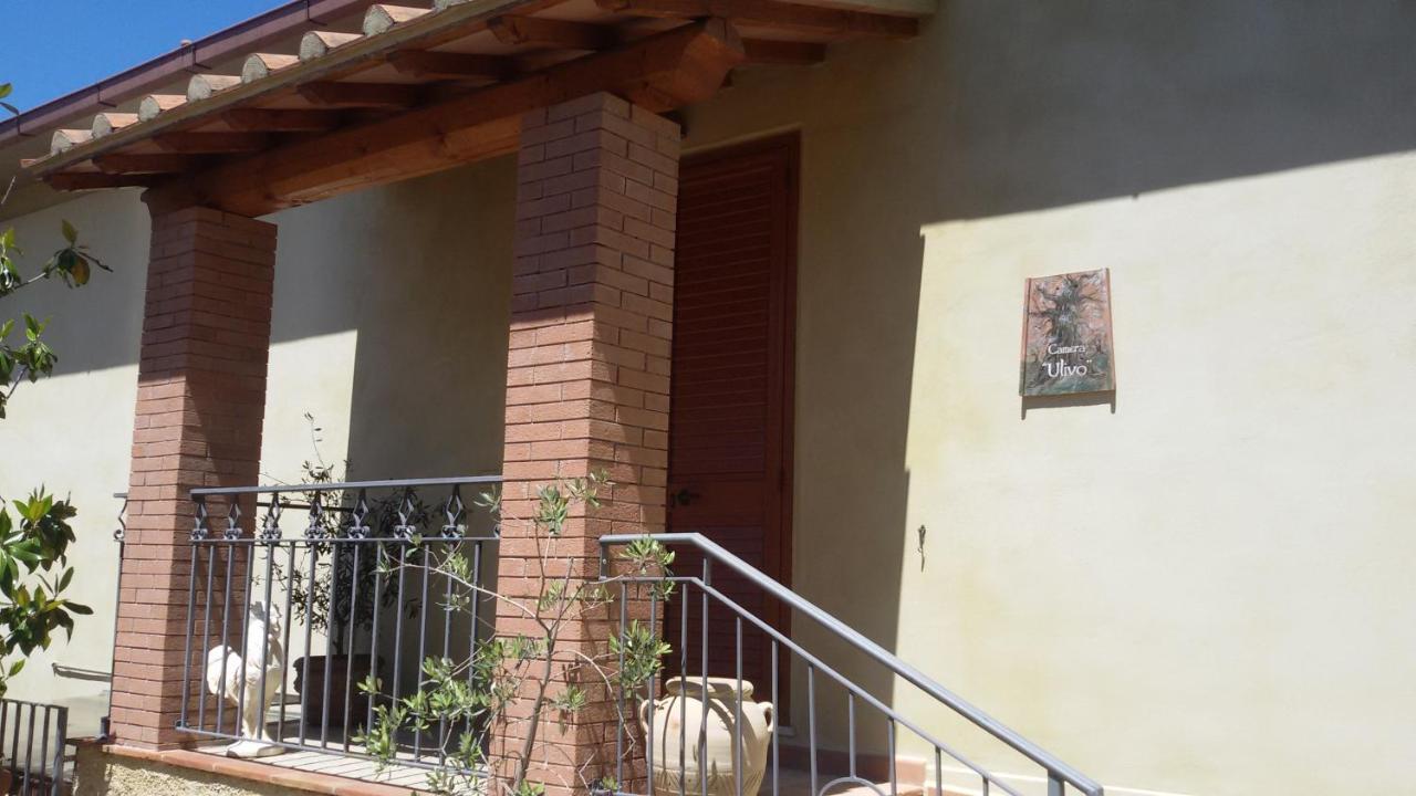 Le Camere Di Nonna Mara Montescudaio Kültér fotó
